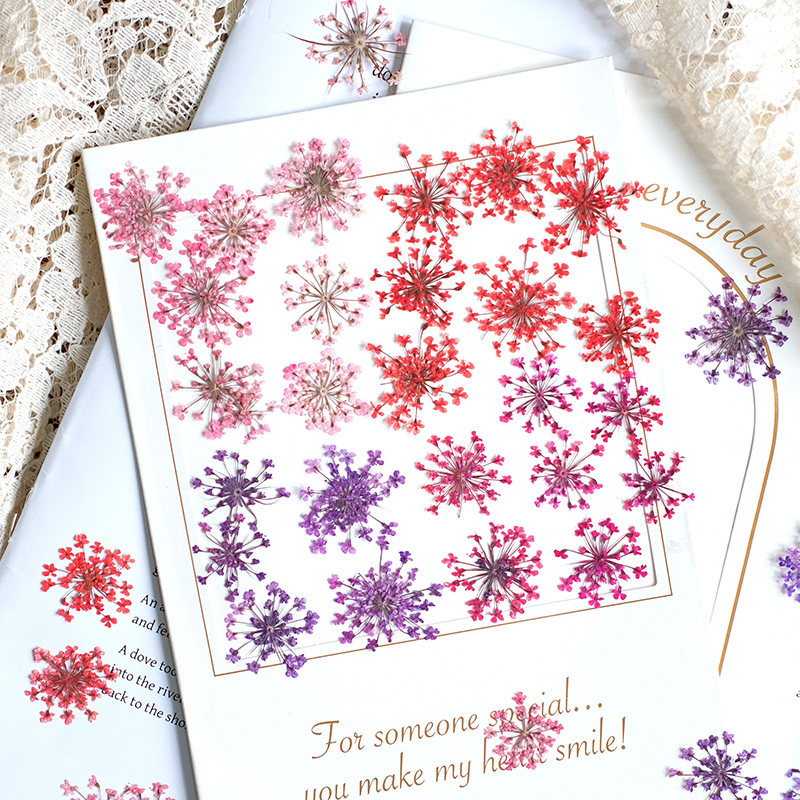Resin Art Design - 24pcs,2-2.5cm,nature Dyed Mini Lace Pressed Flower