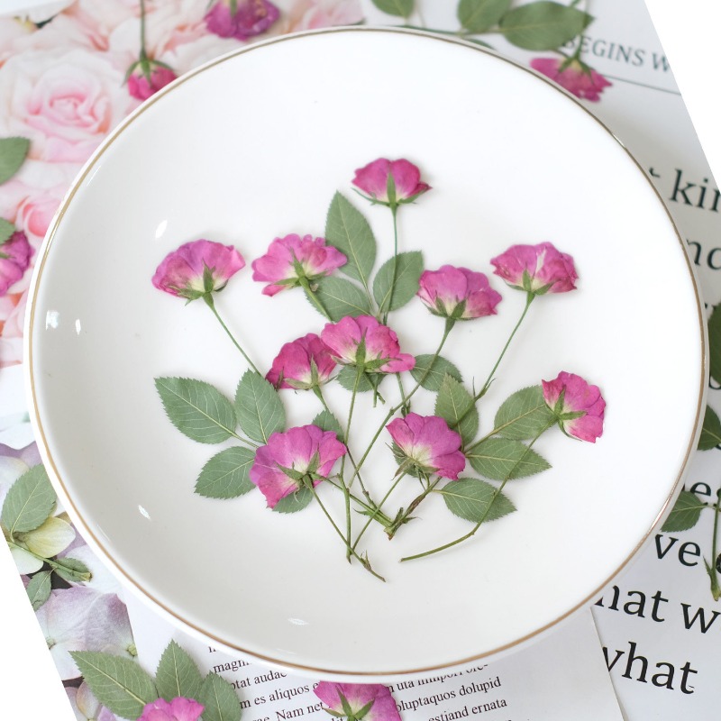 12pcs,Real Mini Rose Pressed F - مراجعة Resin Art Rose Petals وسعره