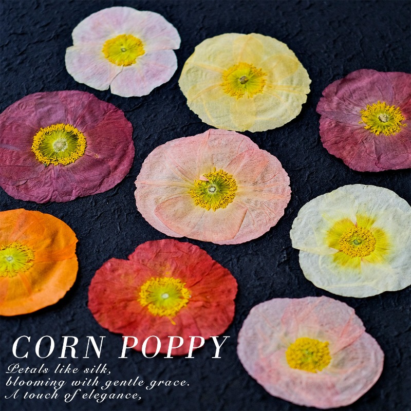 1pcs,Nature Field Poppy Presse - مراجعة Resin Art Design وسعره