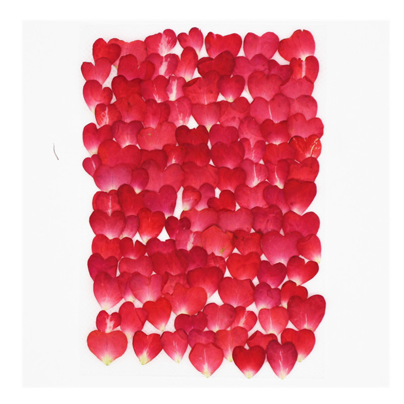 120Pcs Rose Petals Mixed Pack, - مراجعة Resin Art Rose Petals وسعره