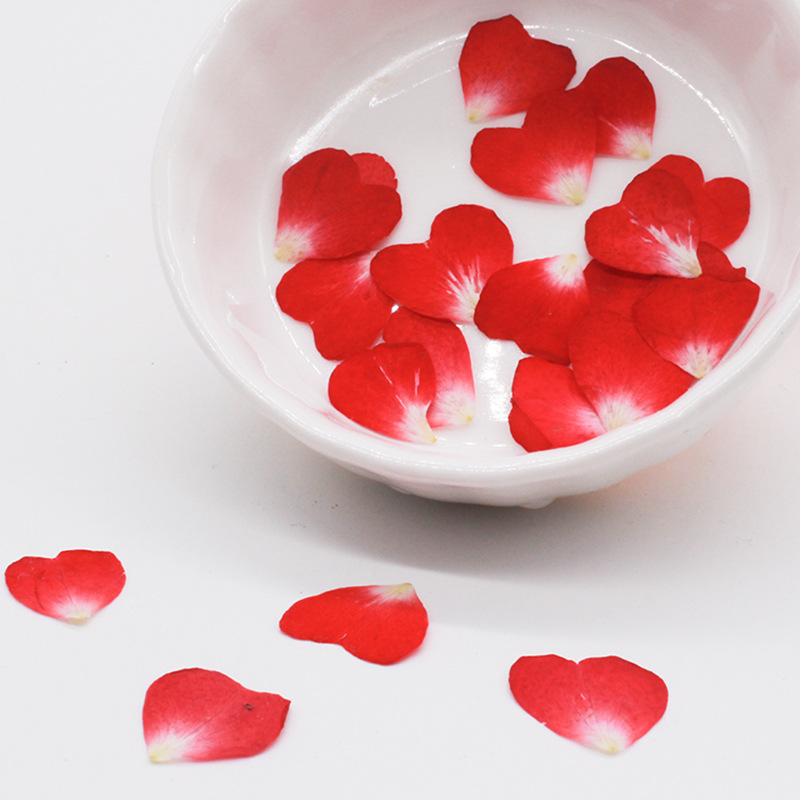 120Pcs Rose Petals Mixed Pack, - مراجعة Resin Art Rose Petals وسعره