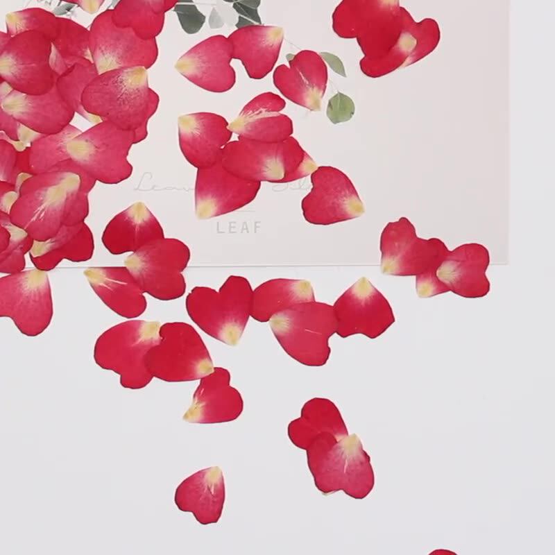 120Pcs Rose Petals Mixed Pack, - مراجعة Resin Art Rose Petals وسعره