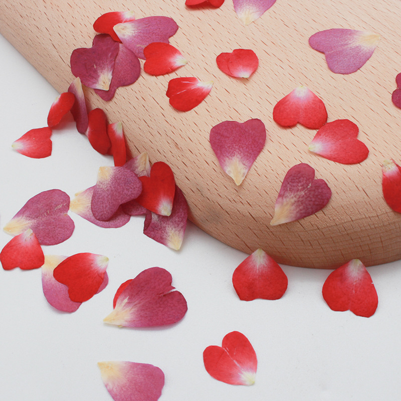 120Pcs Rose Petals Mixed Pack, - مراجعة Resin Art Rose Petals وسعره