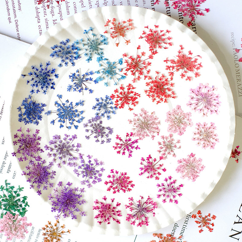 24pcs,2-2.5cm,nature Dyed Mini - مراجعة Resin Art Design وسعره