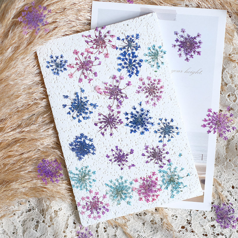 24pcs,2-2.5cm,nature Dyed Mini - مراجعة Resin Art Design وسعره
